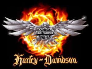 Harley Davidson: Tự tin nổi loạn